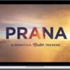 Yogarupa Rod Stryker – Prana Shakti Online: The Power and Path of Yoga