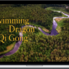 Lee Holden – Swimming Dragon Qi Gong Workshop