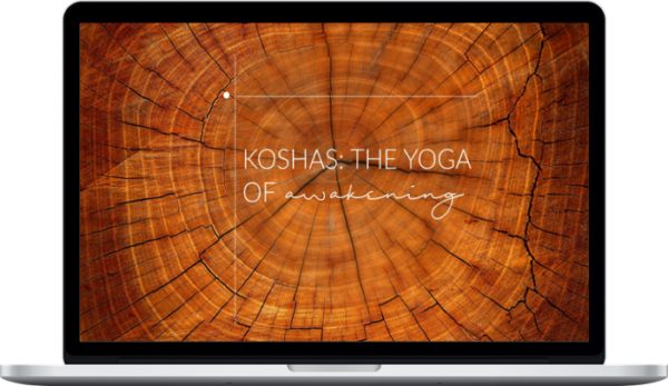 Rod Stryker – Koshas