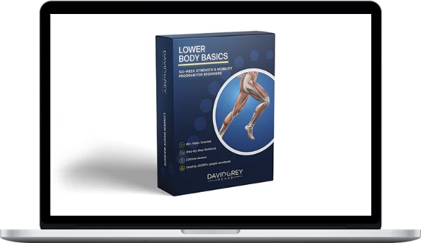 David Grey Rehab – Lower Body Basics