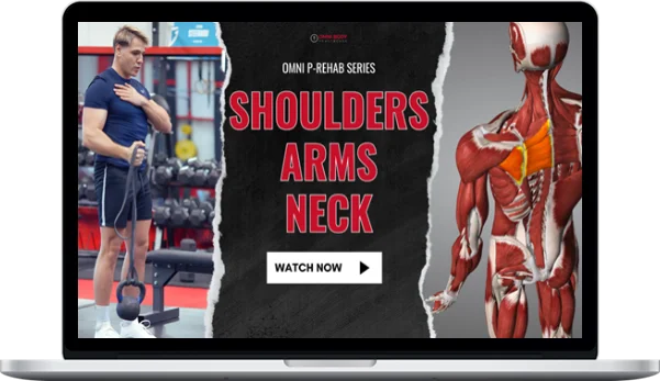 OMNI body Healthcare – Shoulders, Arms & Neck