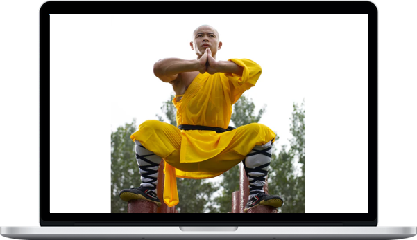 Yan Lei – Transformation 2