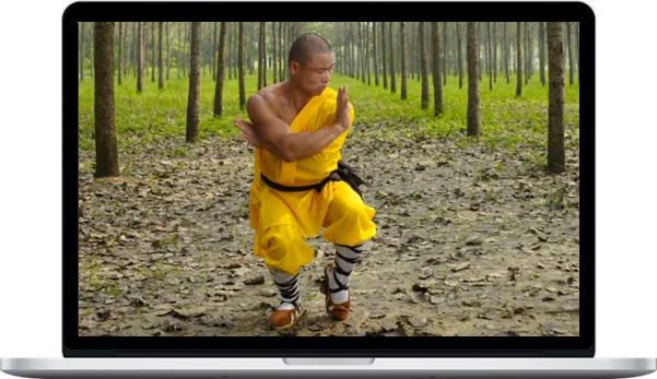 Yan Lei – Rou Quan ( Soft Fist) – Shaolin Tai Chi