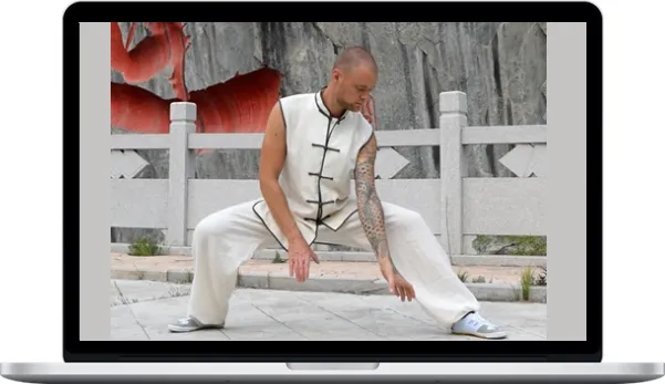 Water Dragon Arts – Xiong Shi Yijin Jing Qigong (accelerated course)