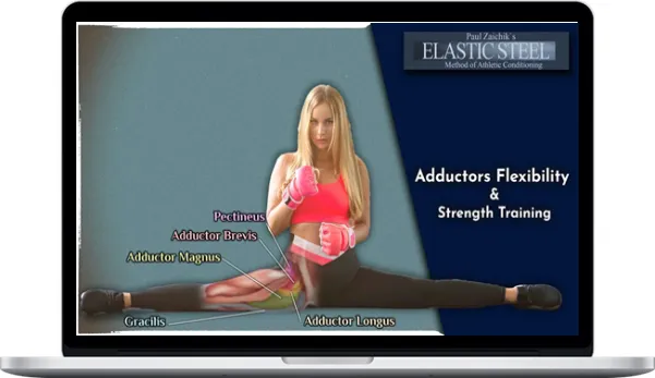 Elastic Steel – Adductors Strength & Flexibility