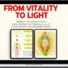 Wisdom Tree Institute – From Vitality To Light
